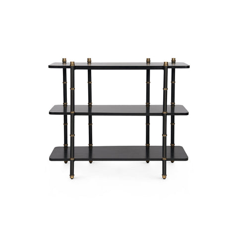 Reneau Modern Lacquered Bookshelf