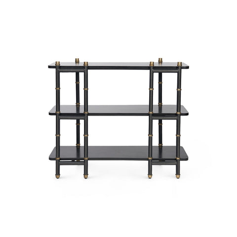 Reneau Modern Lacquered Bookshelf