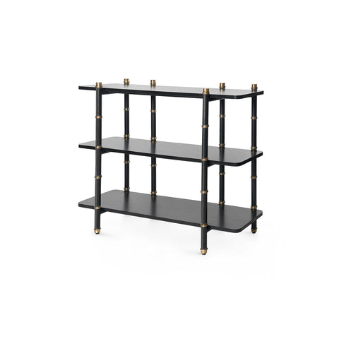 Reneau Modern Lacquered Bookshelf