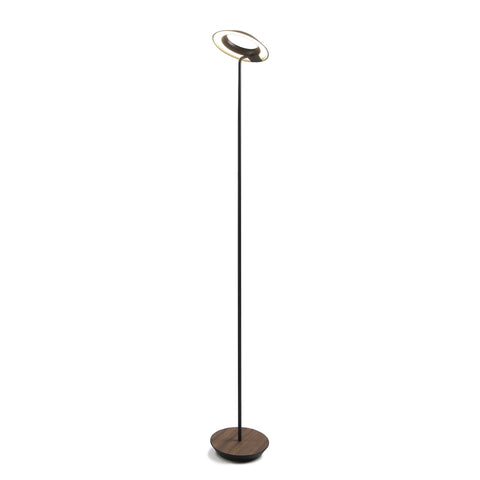 Royyo Modern Sleek Floor Lamp with USB Port