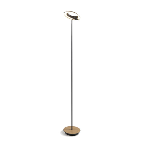 Royyo Modern Sleek Floor Lamp with USB Port