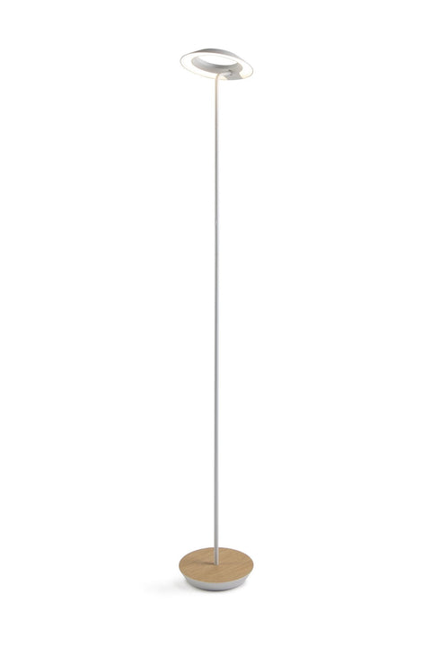 Royyo Modern Sleek Floor Lamp with USB Port