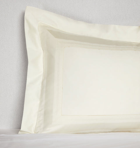 Traditional Solid Applique Sateen Shams