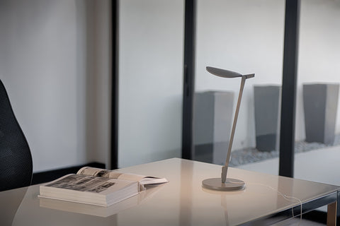 Splitty Ambient Modern Desk Lamp with Adjustable Head