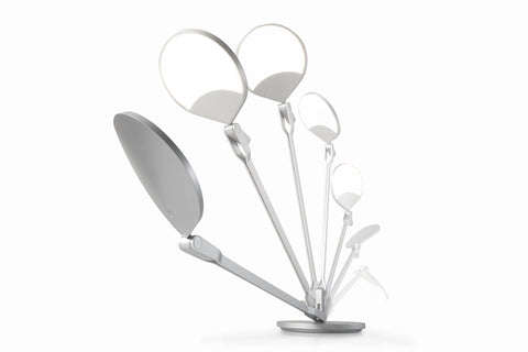 Splitty Ambient Modern Desk Lamp with Adjustable Head