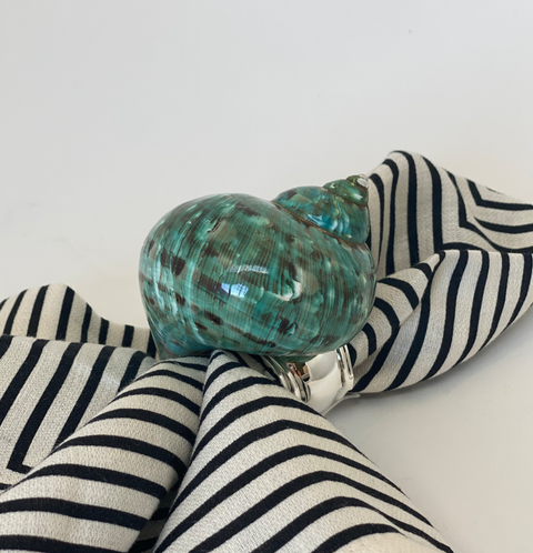 Green Shell Napkin Ring, set of 4