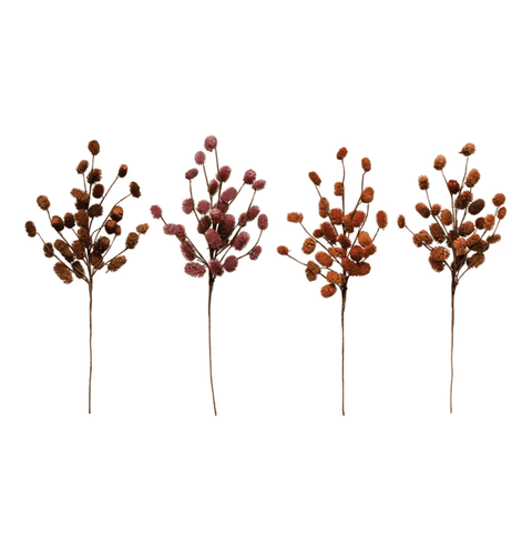 Dried Natural Thistle