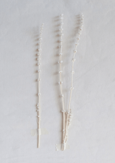 Dried Natural Lions Tail Bunch