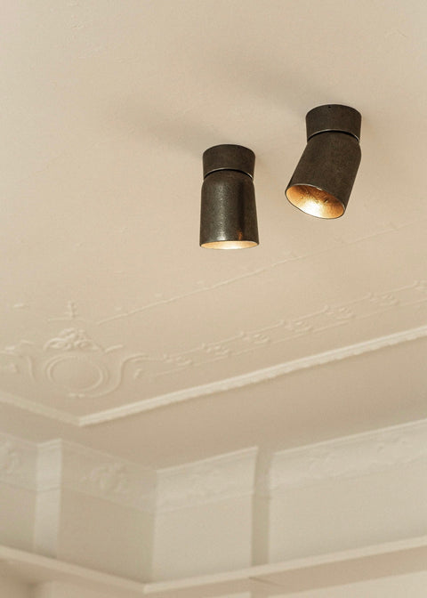 Spot Light Blackened Bronze Ceiling Mounted