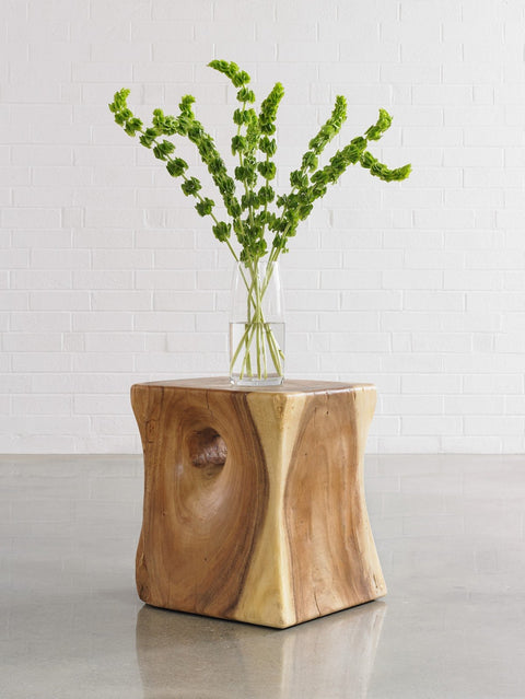 Nature-Driven Modernist Freeform Drum Center Table Accent Table