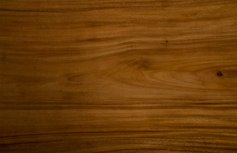 Nature-Driven Modernist Curved Drum Coffee Table