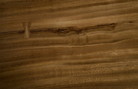 Phillips Collection Nature-Driven Modernist Curved Drum Center Table