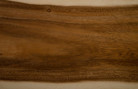 Nature-Driven Modernist Wood Accent Bench with Plinth Base