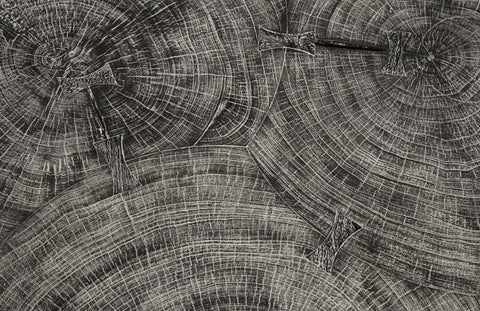 Phillips Collection Nature-Driven Modernist Freeform Drink Table