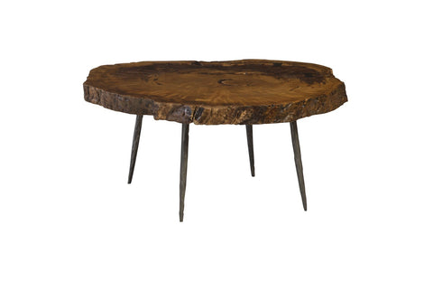 Nature-Driven Modernist Organic Freeform Coffee Table