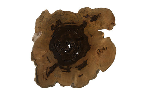 Nature-Driven Modernist Organic Freeform Coffee Table