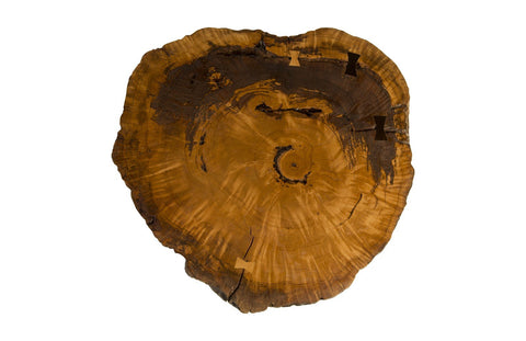 Nature-Driven Modernist Organic Freeform Coffee Table