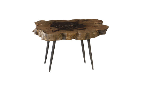Nature-Driven Modernist Organic Freeform Coffee Table