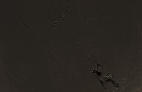 Phillips Collection Nature-Driven Modernist Freeform Coffee Table