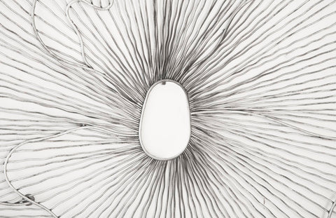 Poppy Flower Wall Art Modern Organic Free Form Wall Sculpture