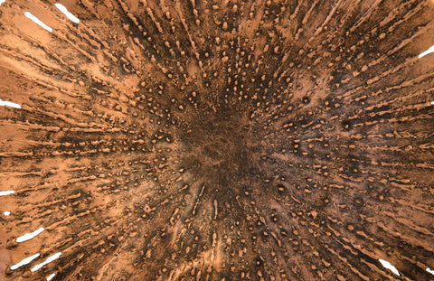 Lotus Wall Art Organic Modern Copper Handcrafted Wall Sculpture