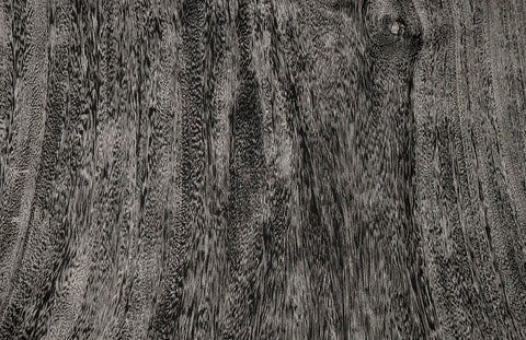 Phillips Collection Nature-Driven Modernist Square Coffee Table Modern Design - 24 W