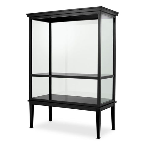Modern Display Cabinet with Matte Finish