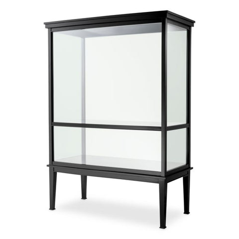 Modern Display Cabinet with Matte Finish