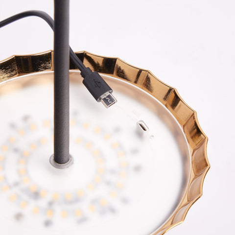 Accent Minimalist Cordless Table Lamp with USB Port