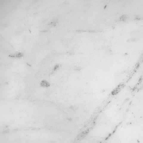 Worlds Away Timeless Minimalist Modern Curved Center Table