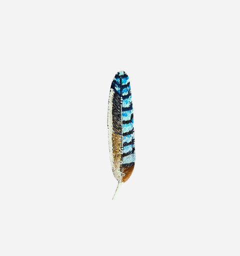 Small Feather Brooch