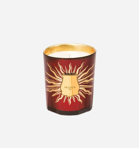 Holiday Collection Spicy Woody Scented Filled Candle