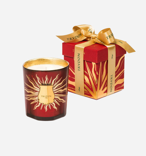 Holiday Collection Spicy Woody Scented Filled Candle