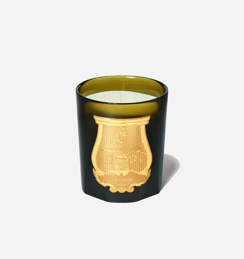 Everyday Leathery Spicy Filled Candle