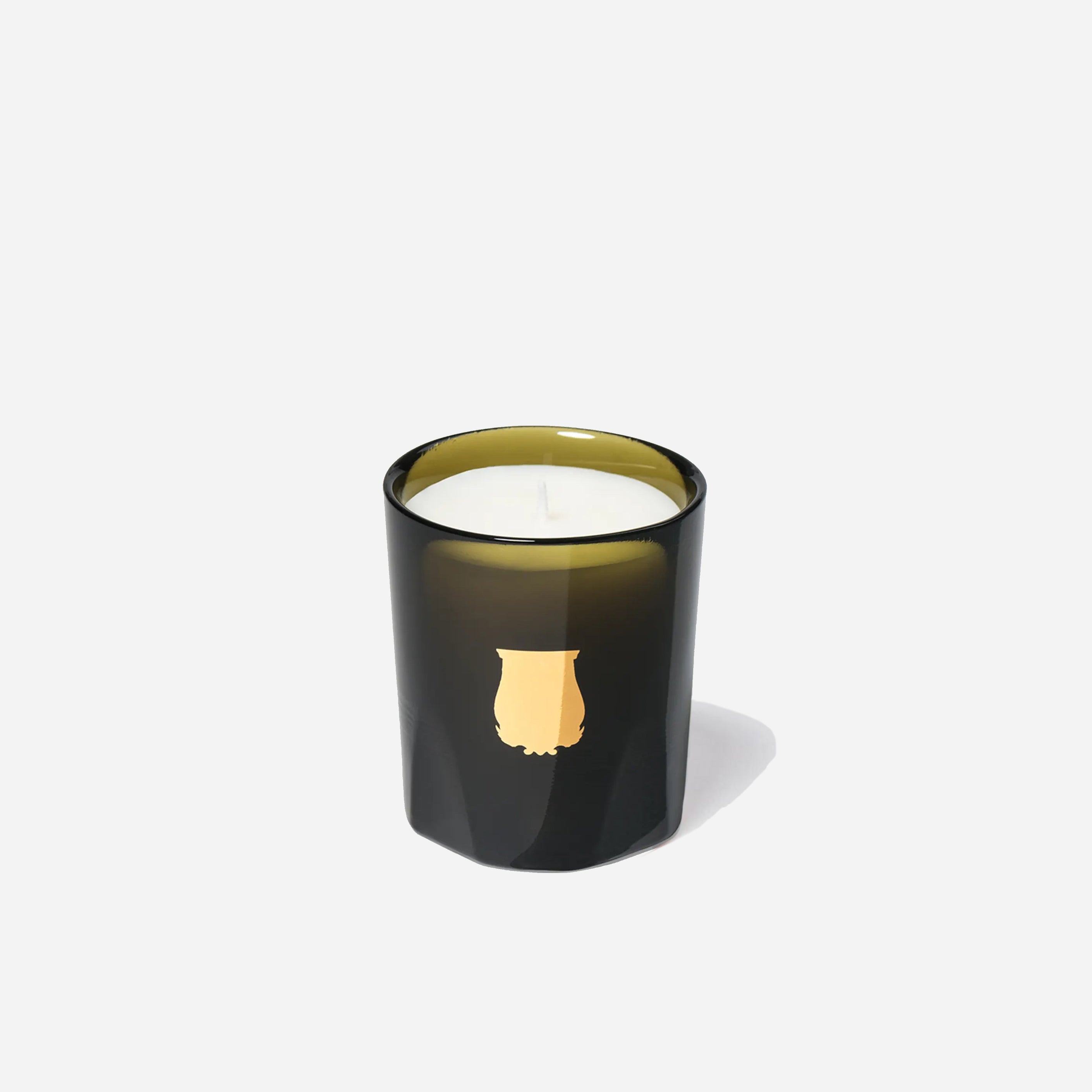 Cire Trudon Candle in Ernesto Luxurious Scent for Your Home Circa