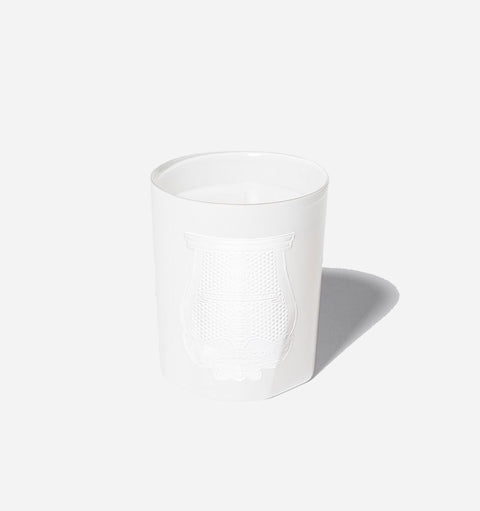 Everyday Classic Handcrafted Citrus Scented Filled Candle