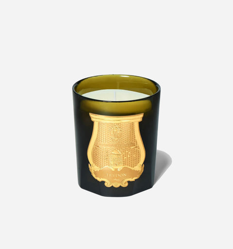 Everyday Aromatic Filled Candle with Eucalyptus and Mint