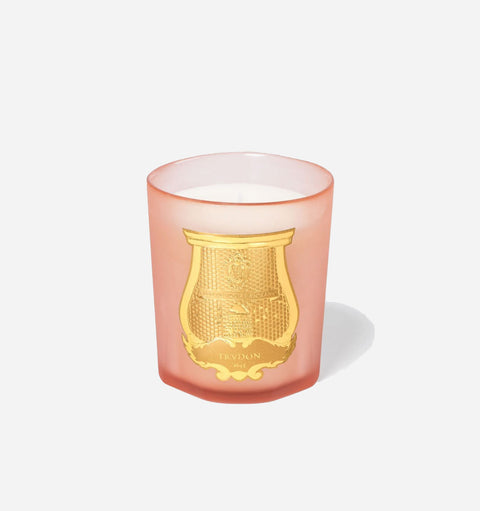 Gifts Everyday Petite Rose Scented Filled Candle