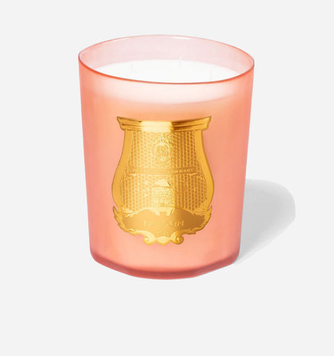 Gifts Everyday Petite Rose Scented Filled Candle