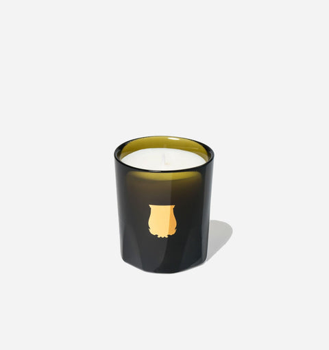 Josephine Everyday Citrus Scented Filled Candle