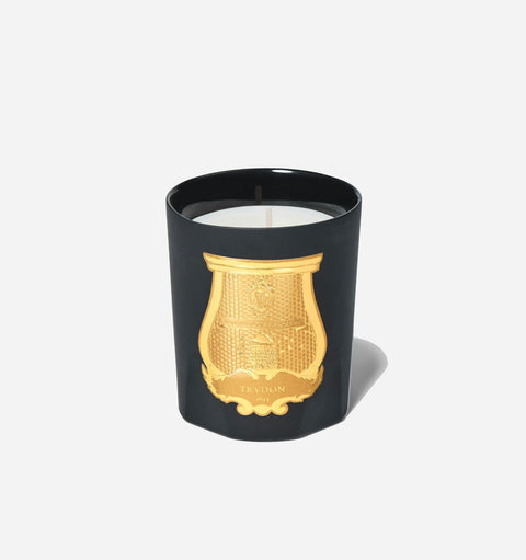 Cire Trudon Candle in Mary