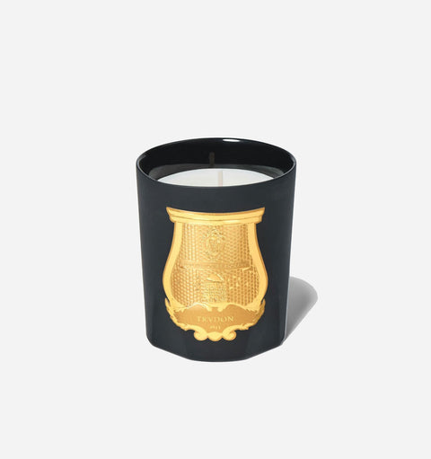 Everyday Classic Spicy Woody Scented Filled Candle