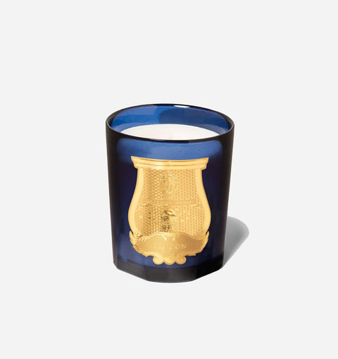 Everyday Citrus Aromatic Scented Filled Candle