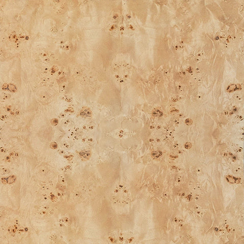 Carnegie Contemporary Drawer Dresser with Knob Handle