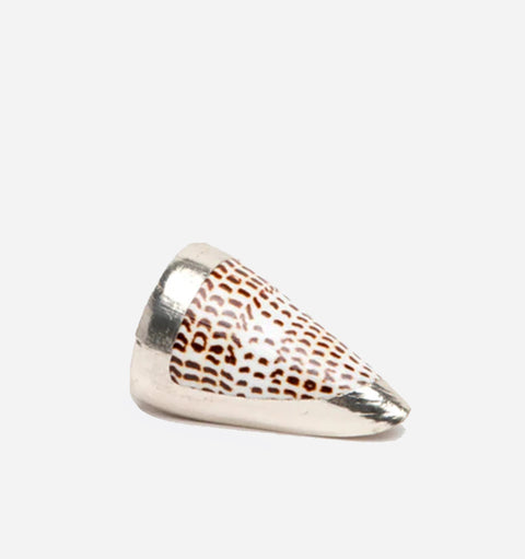 Decorating Essentials Coastal Spotted Seashell Decorative Shell