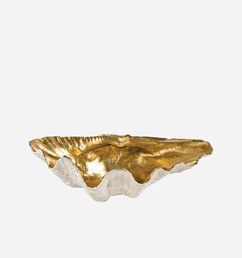 Golden Clam Shell