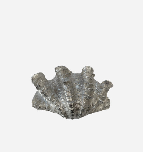 Decorating Essentials Antique Coastal Seashell Decorative Shell