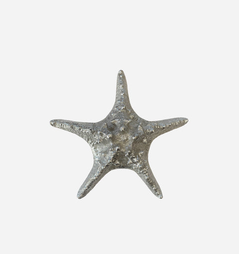Silver Starfish