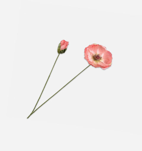 Poppy Stem