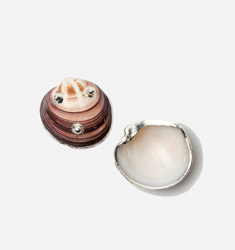 Decorating Essentials Coastal Oval Decorative Shell with Seashells